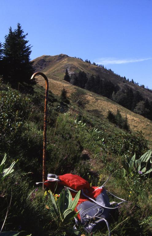 ホテル オテルパノラミック Bagnères-de-Luchon エクステリア 写真