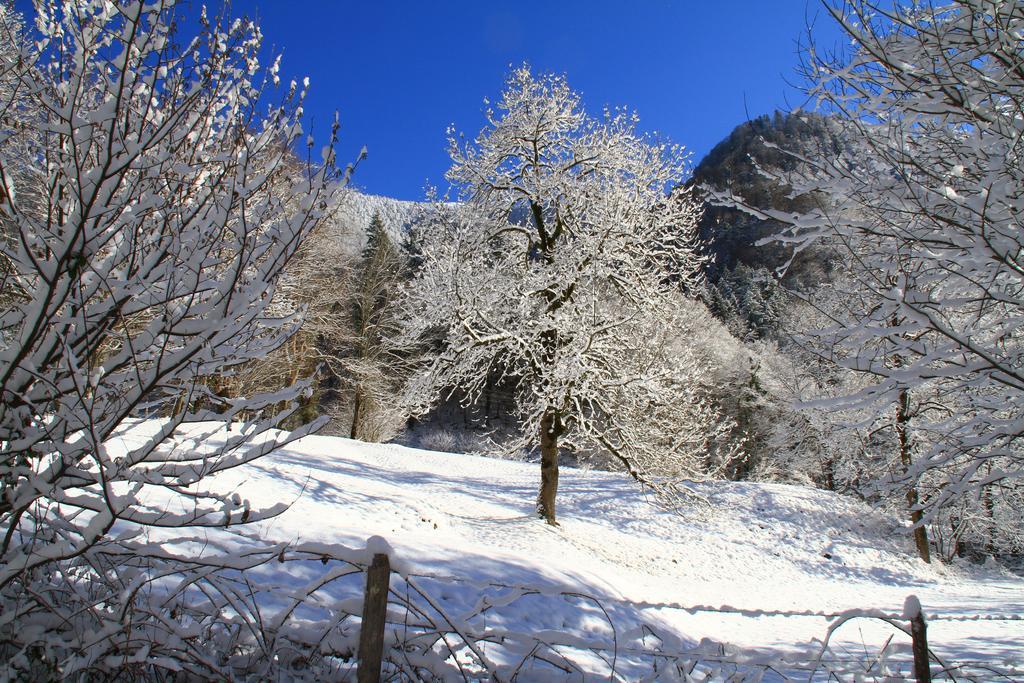 ホテル オテルパノラミック Bagnères-de-Luchon エクステリア 写真